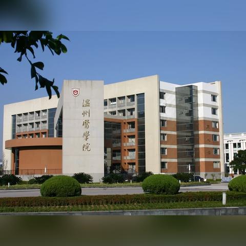 医药品牌面试技巧分享会