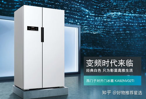 二手冰箱选购指南，这些品牌性价比高，避坑技巧看这篇就够