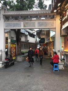 南昌县莲塘鸭绒被加工全攻略，手把手教你找到最靠谱的作坊