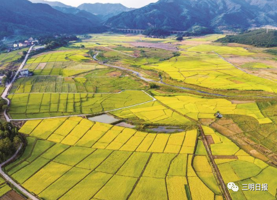 探秘三明乡村，山水田园里的振兴密码