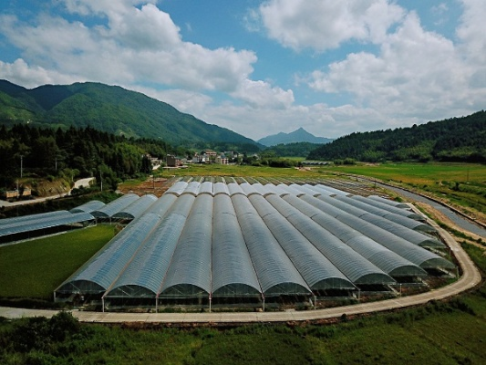 探秘三明乡村，山水田园里的振兴密码