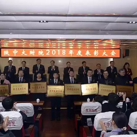 2019陕西中医药品牌盘点