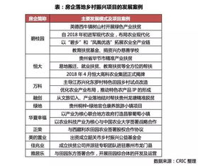 万人乡村振兴待遇全解析，补贴、机会与未来前景