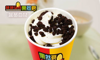 冰激凌加盟店热门品牌推荐