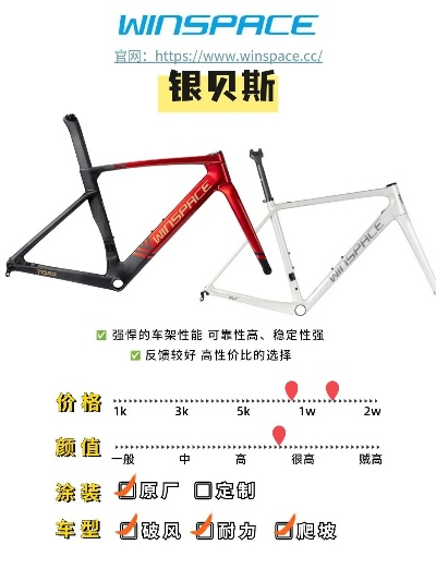 钢架车公路车品牌全解析，性能、价格与选购指南