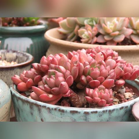 如何查询对方的微信聊天记录呢 微信聊天记录查询全攻略，合法途径、风险提示与防查指南