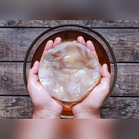 珠海乌龙茶品牌招商全攻略，从市场分析到落地指南，手把手教你掘金茶饮新蓝海