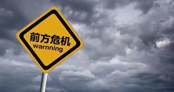 2007年电脑品牌盘点，从巨头到新星的演变之路