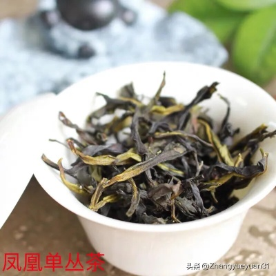 正宗广东十大茶叶品牌全解析，从传统到创新，喝出岭南风味