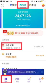 京东白条提现不放款 京东白条提现不放款？这可能是你踩中的5大雷区！附真实案例和避坑指南