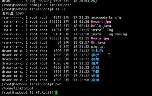 Linux常用命令