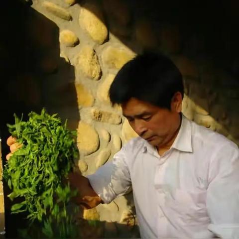 武夷岩茶品牌大比拼，老字号与新锐品牌如何各显神通？