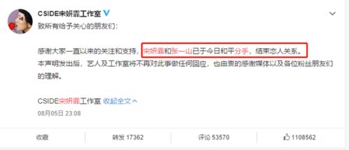 开房信息查 开房信息查询全攻略，如何合法合规获取与保护隐私指南