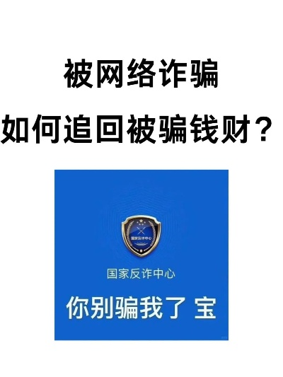 如何从被骗的平台中取回损失