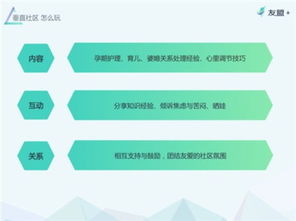 母婴品牌网店的运营策略与案例分析
