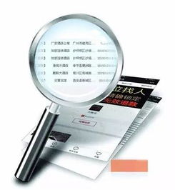 查开房记录网址 查开房记录网址，合法途径与风险警示全解析