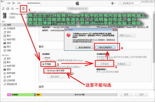 微信怎麼導出別人聊天记录 微信聊天记录如何导出，步骤详解与注意事项