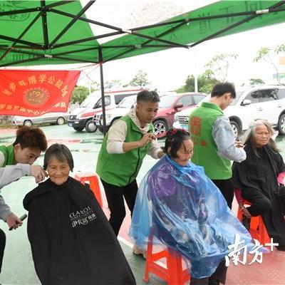 惠州中医药品牌排名与案例分析