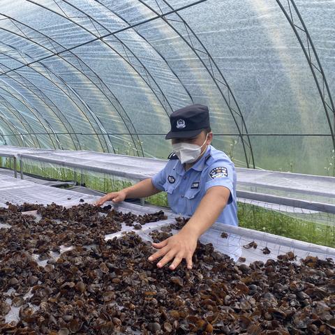 派出所助力乡村振兴的三大实战路径