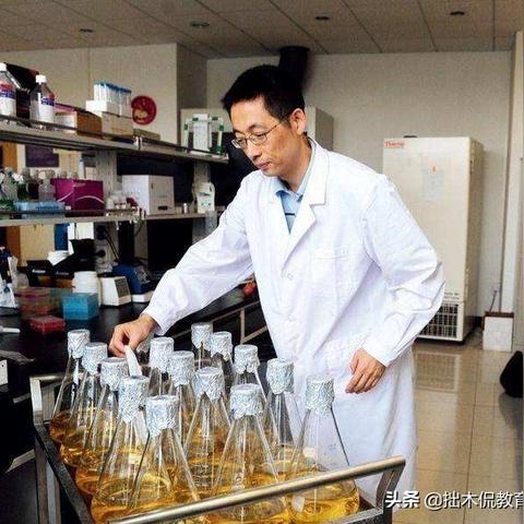西湖区亲子早教加盟指南