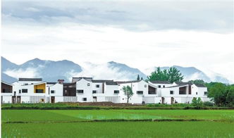 乡村振兴的自我介绍，从乡土出发，向未来生长