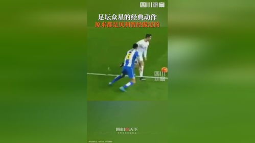 贝利格玩具，用安全与创意点亮孩子童年，这个国货品牌凭什么成为家长首选？