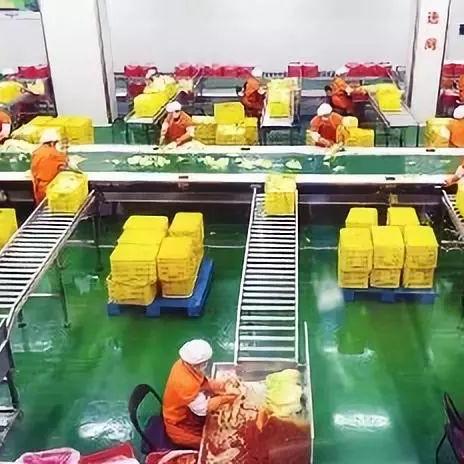探索医药品牌背后的故事