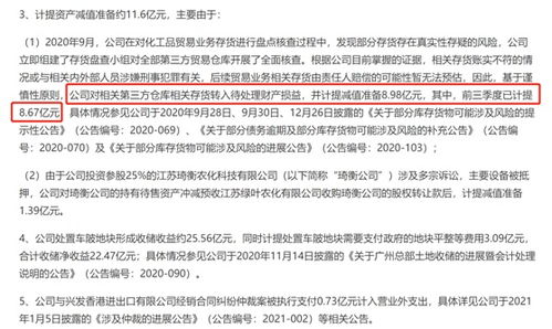 查酒店记录的暗网 揭秘查酒店记录的暗网，风险警示与防范建议