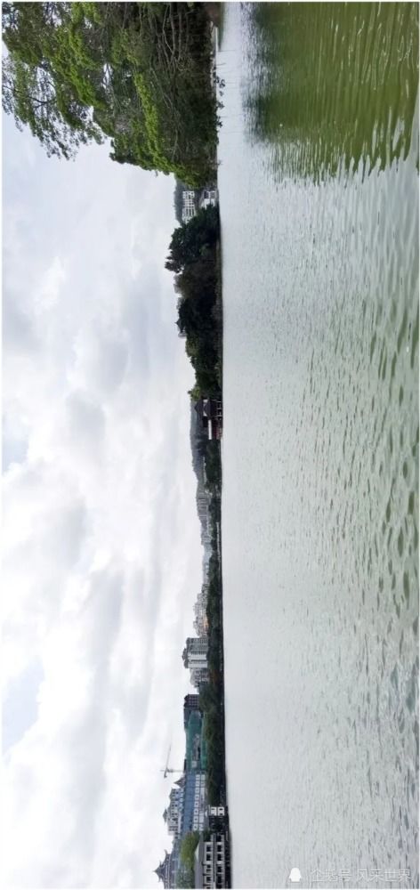 吾优就买羊小咩便荔卡怎么套出来 揭秘吾优就买羊小咩便荔卡套现攻略，手把手教你薅羊毛不踩坑