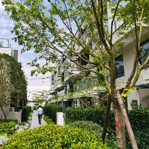 崇明区品牌别墅装修施工