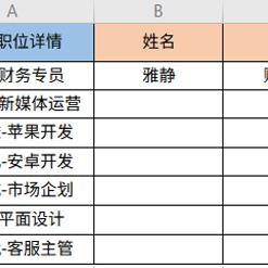 WPS表格拆分县乡村组全攻略，手把手教你轻松处理数据