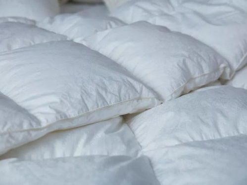 鹅绒被VS鸭绒被，哪种才是你的睡眠最佳拍档？