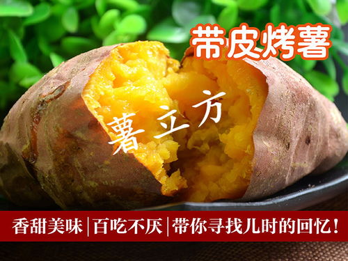 郑州烤红薯加盟品牌推荐