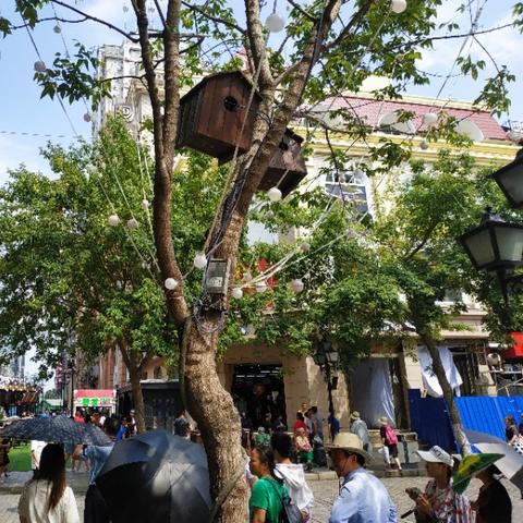 住宿查询记录全解析，如何高效管理你的旅行住宿信息？