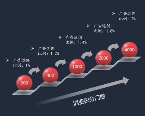 网站广告实战指南，从0到1教你用流量撬动百万营收