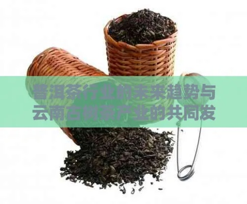 昆明茶企加盟全攻略，从滇红到普洱，掘金云南茶产业新机遇