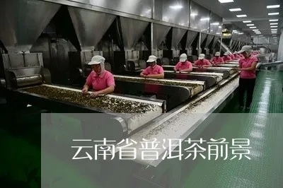 昆明茶企加盟全攻略，从滇红到普洱，掘金云南茶产业新机遇