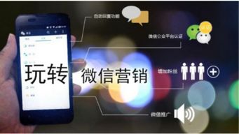 惠州企业如何玩转网站广告推广？这5个实战技巧帮你涨粉又涨钱