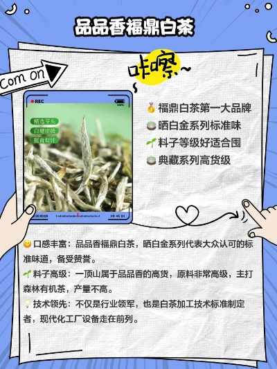 广东白茶品牌推荐，如何选到好茶？这份避坑指南请收好！