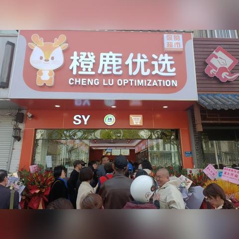 鹿优选额度提现和借款限制全解析，你的资金能顺利到账吗？