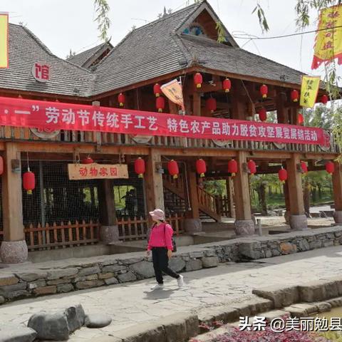 让山货出山，让村民增收—乡村电商发展的破局之道