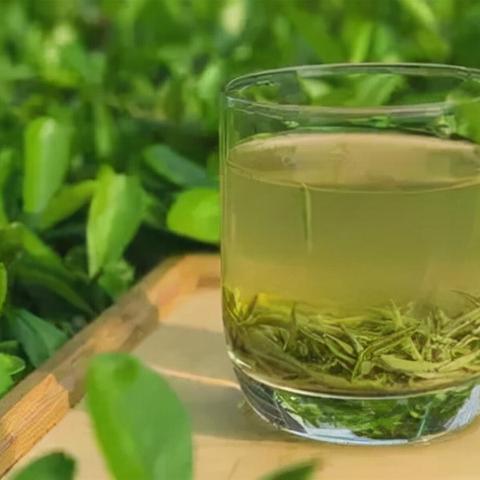 九江茶叶品牌加盟代理全攻略，从入门到盈利的实战指南