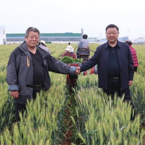 智慧乡村建设手续办理全攻略，从申请到落地的关键步骤与避坑指南