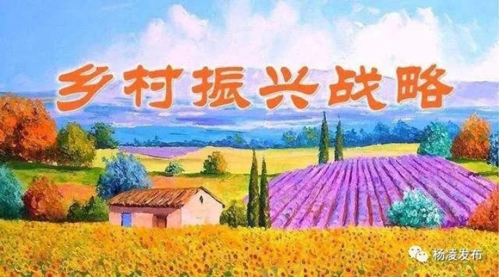 让政策落地生根，乡村政策落实的五大关键与实战经验