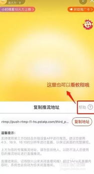 手把手教你看懂天天快报直播，从入门到精通的实用指南