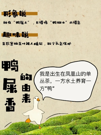 鸭屎香逆袭记，从土味名字到茶圈顶流的品牌突围之路