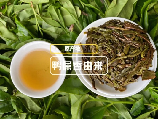 鸭屎香逆袭记，从土味名字到茶圈顶流的品牌突围之路