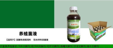 制氧剂加盟品牌有哪些公司
