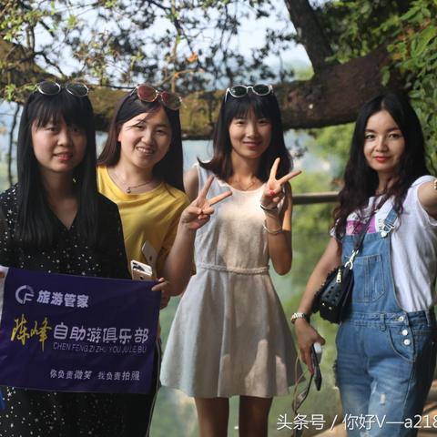 住宿记录查询网，让旅行更省心！