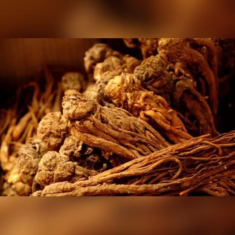 甘肃畅销特产加盟连锁品牌大盘点